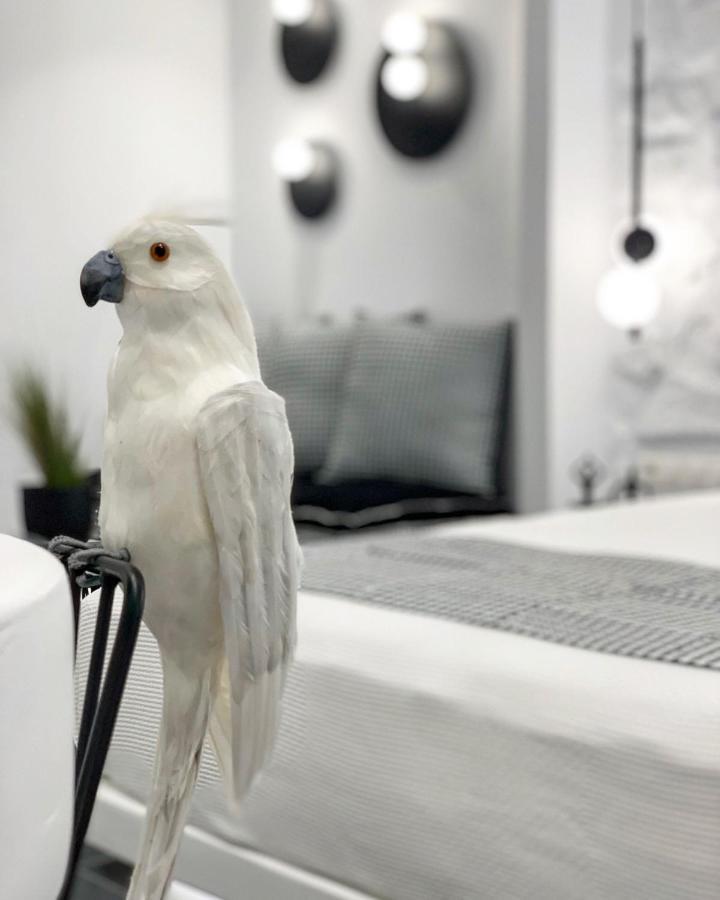 Studios Panos Naxos City Dış mekan fotoğraf